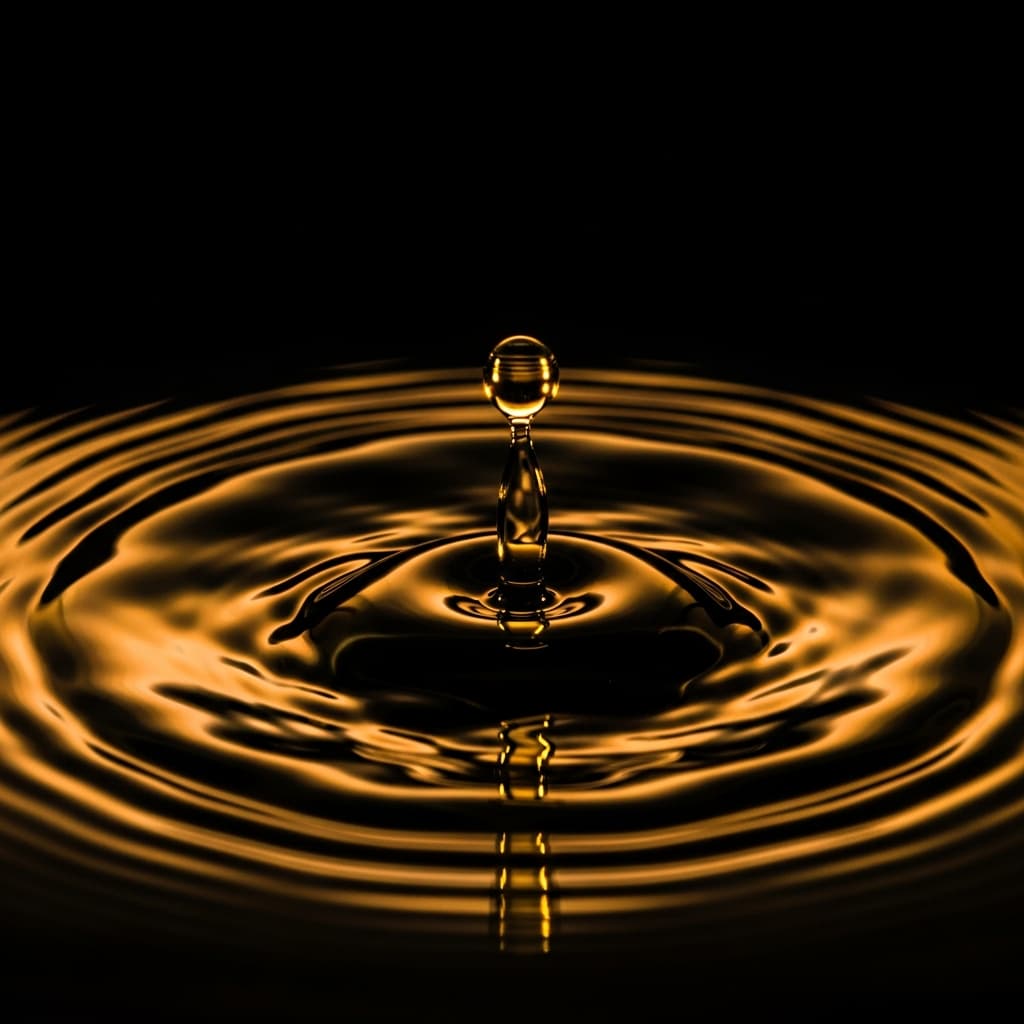 고르기아스 중급 퀴즈